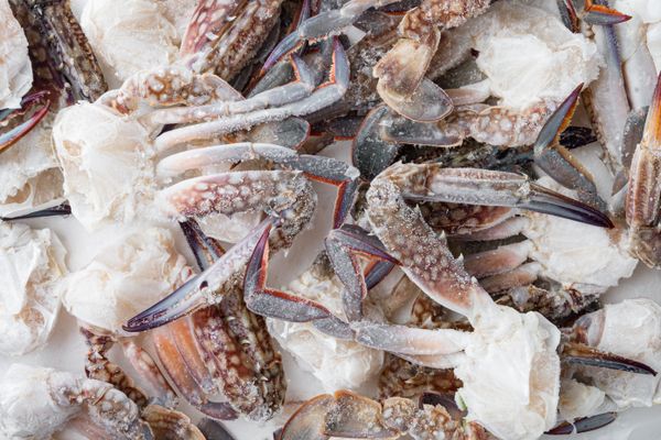 Frozen Crab from 바레인 supplied by Tridge Fulfillment - Carton Box (12kg) (=Cardboard Box) 냉동 게