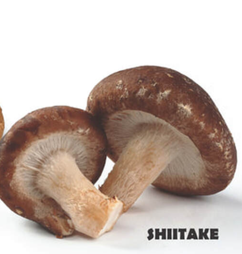 Shiitake from 미국 supplied by Thomas Mushroom & Specialty Produce IV LLC - Whole 표고버섯
