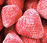 Frozen Strawberry from 아르헨티나 supplied by Agrana Fruit Argentina S.A. - Frozen - IQF (=Individual Quick Freezing) 신선 딸기