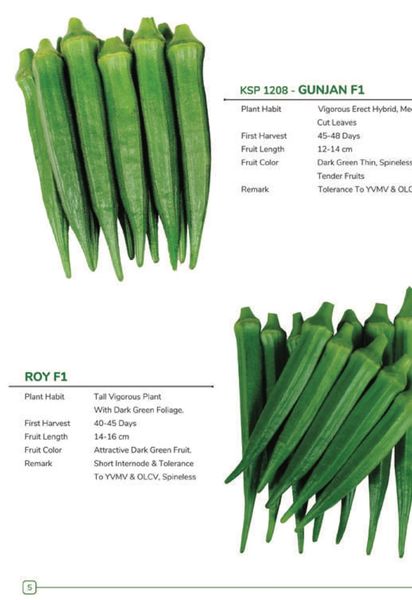 Okra from Nigeria supplied by Majik farm agro allied - As per customer's request Value Added Vegetables