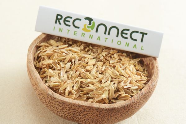 "Rice Husk Good Price Agricultural Waste Using For Fossil Fuels Energy Wood Pellets Made In Vietnam " from 베트남 supplied by Reconnect International Limited Company - PP Bags 왕겨
