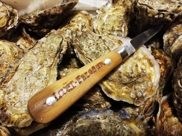Premium Louët-Feisser Oysters from Ireland supplied by Carlingford - Premium Quality Fresh Oyster