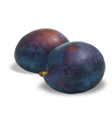 Fresh Čačanska Rodna Plum from 세르비아 supplied by Hladnjača Voćko (ZZ Vocko) - Plum - Čačanska Rodna 신선 자두