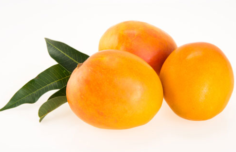 Mango from 프랑스 supplied by Westfalia Fruit - Princess 신선 망고