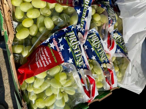 Fresh Grape from 미국 supplied by Delano Farms Company - Summer Royal 신선 포도