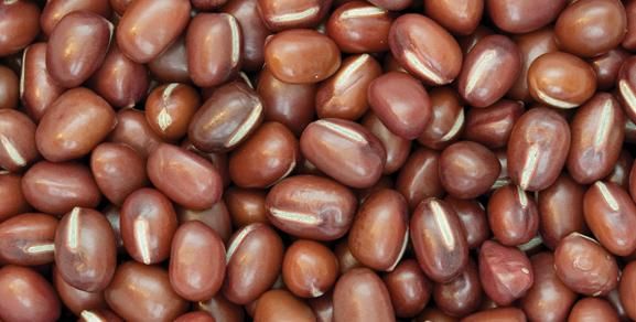 adzuki beans from 미국 supplied by Pacific Grain & Foods, LLC - Whole 말린 팥