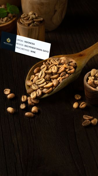 GAYO ARABICA WINE from 인도네시아 supplied by Boymaxwell Indojaya Grup Ltd. - 상급 품질 생원두