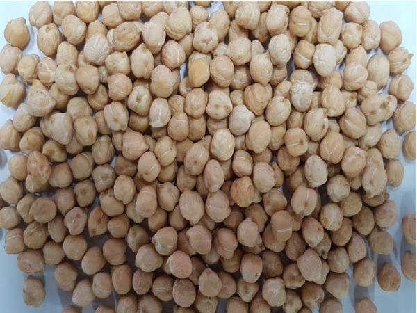 Chickpeas from 브라질 supplied by Br Pulses Comercio Importacao e Exportacao Ltda. - For Food 말린 병아리콩