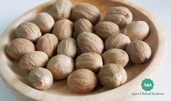 Nutmeg ABCD from 인도네시아 supplied by PT. Agro Global Sentosa - High Quality 혼합 향신료 상품