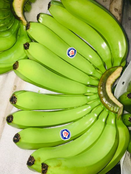 Green Banana from Philippines supplied by Agros Import Export International Corp. - Green Fresh Banana