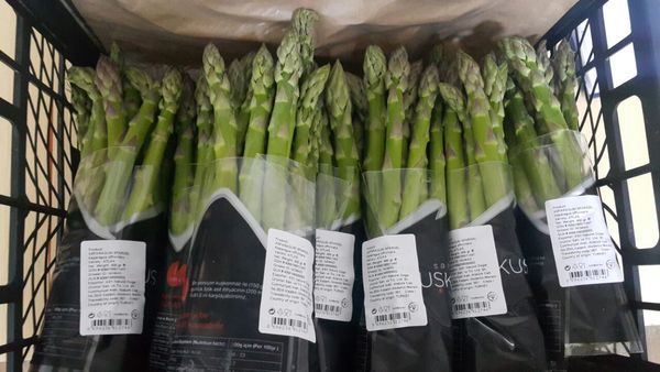 Asparagus from 튀르키예 supplied by Asy Naturel - Conventional 신선 아스파라거스