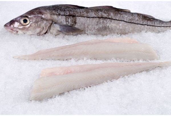 Haddock from 프랑스 supplied by Iceland Seafood France - Boneless (=Without Bone=Deboned) 냉동 해덕