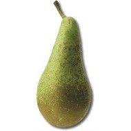 Organic Pear from Netherlands supplied by BioFruit - Triomphe de Vienne (=Triunfo de Vienna=Triump de Vienne) Fresh Pear