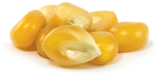 Yellow Popcorn Maize from Brazil supplied by Coperaguas Cooperativa Agroindustrial - Popcorn (=Everta) Maize (Corn)