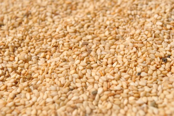 Sesame Seeds from 수단 supplied by Bayrony Investment International Co.ltd - Unhulled 참깨