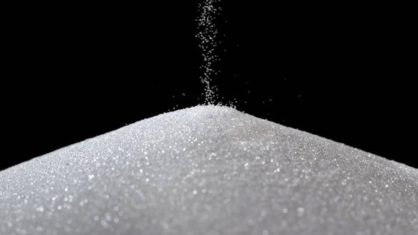 Sugar from 인도 supplied by Fauji Exim Pvt. Ltd. - White Sugar (=Table Sugar=Regular Sugar=Granulated Sugar) 설탕