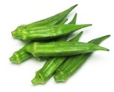 Ladies Fingers from Sri Lanka supplied by Tradlanka Agricultural Enterprises (Pvt) Limited - Green Fresh Okra