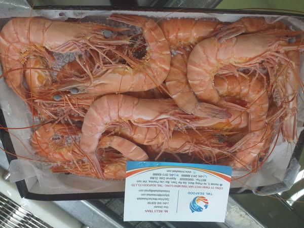 RAW BLACK TIGER SHRIMP HOSO from Vietnam supplied by THAI MINH LONG SEAFOOD - 40-50 pcs/kg Frozen Common Shrimp & Prawn