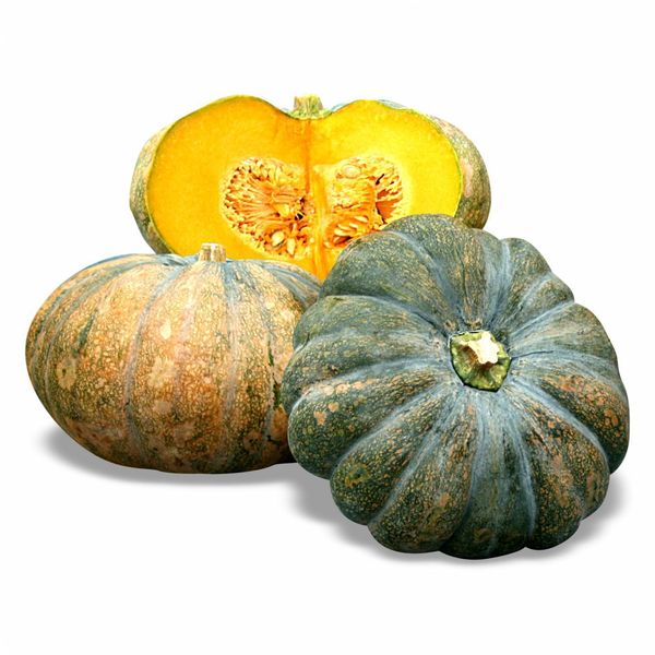 Pumpkin Seed from Vietnam supplied by East-West Seed Company Limited - Whole Pumpkin Seed