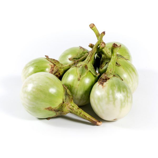 Eggplant from Thailand supplied by Namdhari Thai Fresh Co., Ltd. - White Eggplant