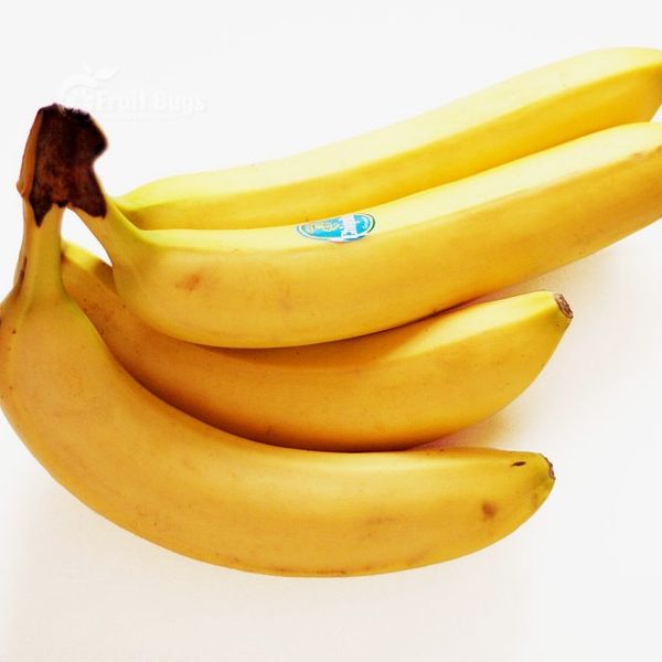 Frozen Banana - FruitBuys Vietnam +84-919739589 from 베트남 supplied by FruitBuys Vietnam - 냉동 냉동 바나나