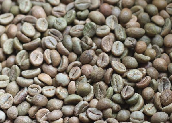 Robusta Coffee Bean from 말레이시아 supplied by Indoma (P. P) Sdn Bhd - Robusta 생원두