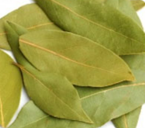 Bay Leaves from 인도 supplied by Vardhman Exotic Herbs and Spices - Dried (=Dehydrated) 월계수 잎