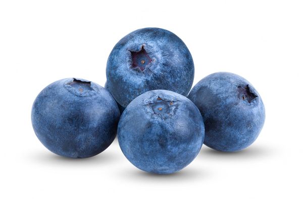fresh blueberry from 폴란드 supplied by Plantacja nad Tanwią Sp. z o.o. - Whole 신선 블루베리