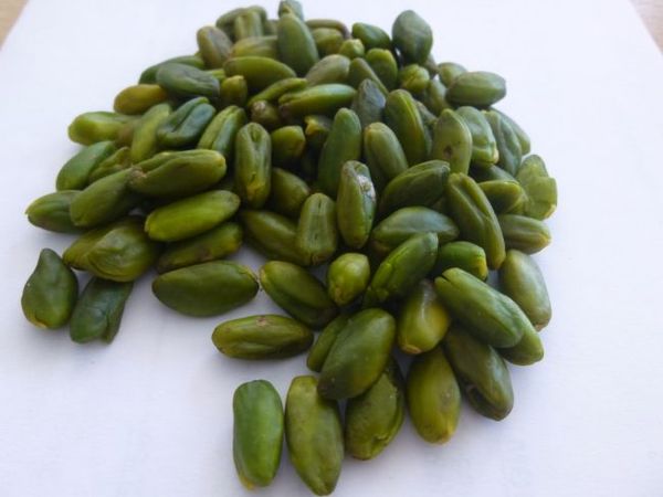 Pistachios from Iran supplied by TRADIFRUIT - Green Raw Pistachio