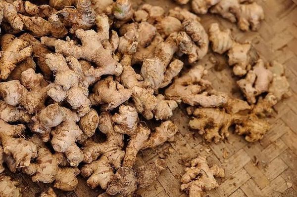 Ginger from Indonesia supplied by Sekumpul Sejahtera - Regular Whole Ginger