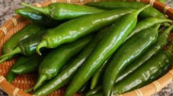 Green Chilly from Kenya supplied by Mina logistics services LLC - Dried Whole Chili Pepper