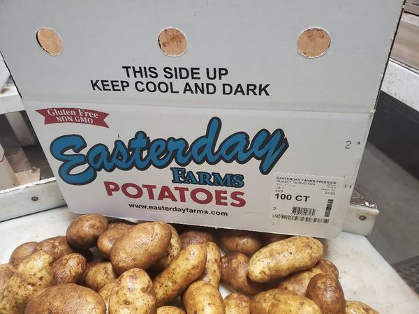 Potato from 미국 supplied by Echo International Export - 갈색 신선 일반 감자