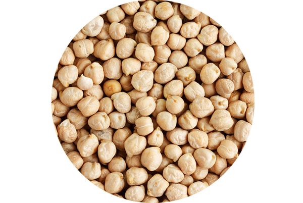 Chickpea from 인도 supplied by Sajjan Foods - Indian Variety - Desi 말린 병아리콩