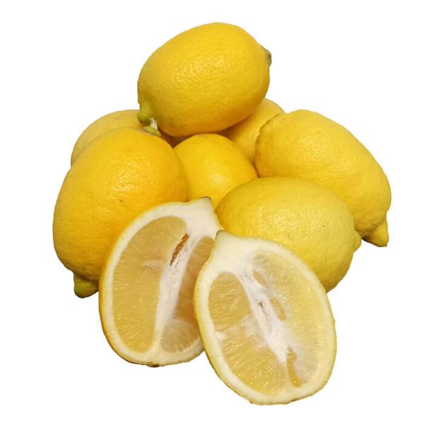 Fresh Lemon from 이탈리아 supplied by La Geima - Ge.Im.A. srl - Fino (=Primofiori=Mesero=Blano=Primofiore) 신선 레몬