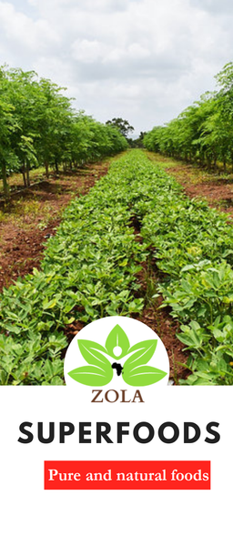 Cassava from 캐나다 supplied by Zola Superfoods - Leaf 카사바
