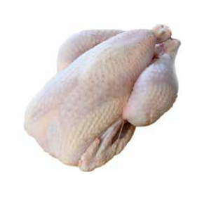 Fresh Chicken from France supplied by DK TRADING APS - Fresh (=Chilled=Raw) Frozen Whole Chicken
