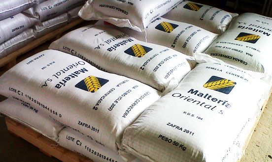 Barley Malt from 우루과이 supplied by Malteria Oriental S.A [MOSA] - Conventional 보리맥아