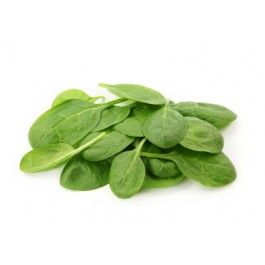 Baby Spinach from Germany supplied by Logically Organic - Green Fresh Spinach