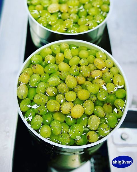 frozen grapes from 튀르키예 supplied by Ahi Guven Canned & Frozen Food Co. - Green (=Unripe=Sour) 냉동 포도