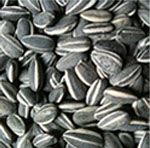 Sunflower Seed from 슬로바키아 supplied by PROAGROS Levice - Black with White Stripes 해바라기 씨