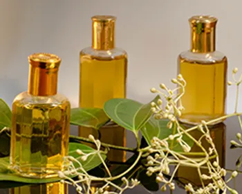 Cinnamon Oil from 스리랑카 supplied by P.D.Romanis and Sons - Organic 시나몬 오일
