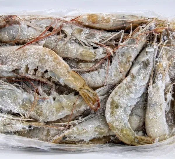 Shrimp Head On from Ecuador supplied by EXPALSA EXPORTADORA DE ALIMENTOS S.A. - Head On Fresh Common Shrimp & Prawn