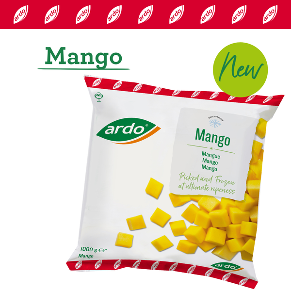 Frozen Mango from 폴란드 supplied by Ardo - Cubes 냉동 망고
