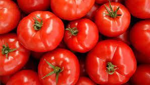 Tomato from 그리스 supplied by Nikos Papadopoulos - Fruitexport - Red 신선 토마토