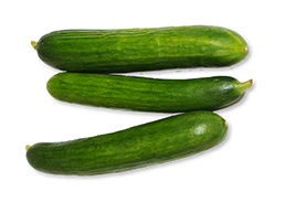 Organic Cucumber from United States supplied by WHOLESUM FAMILY FARMS INC - Slicing Cucumber (=Slicer=Field Cucumber) Fresh Cucumber