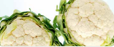 Cauliflower from Belgium supplied by PASFROST - Whole Fresh Cauliflower
