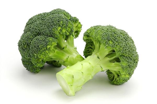 Dutch Broccoli from Netherlands supplied by Holland Food Trade - Green Fresh Headed Broccoli