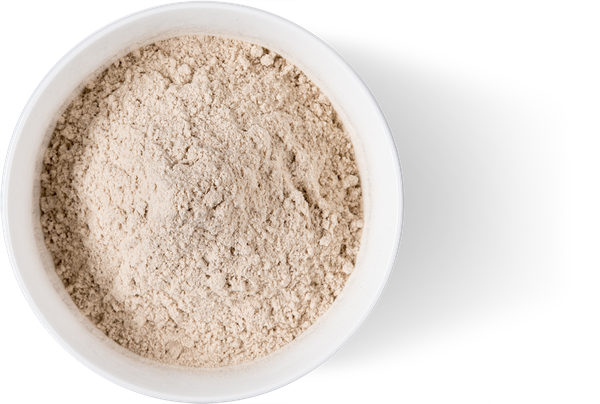 Ivory Teff Grain and Flour from 남아프리카공화국 supplied by Icon Foods International - As per customer's request 테프