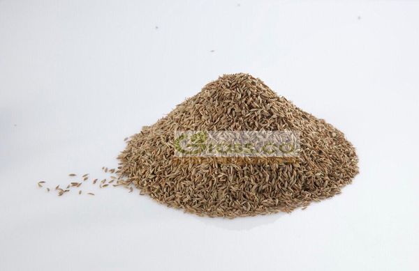 Cumin Seeds from 이집트 supplied by Grass Co. Herbs and Spices - Conventional 커민 씨