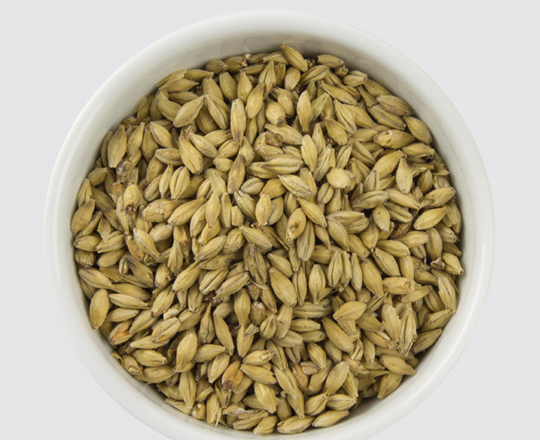 Malt from 영국 supplied by Muntons Plc - Individually Wrapped (=IW) 밀엿기름
